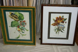 REDOUTE CYRTANTHUS KNYSNA LILY HAND PAINTED SIGNED FRAME 4x MATS FLOWER PRINT