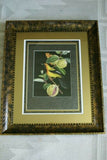 Professionally 5x Matted & in Hand-painted Frame 24" x 20" VERY RARE Authentic Limited Edition 1960 Descourtilz Plate of Tropical Jamaica Oriole or Carouge Jamacaii Bird from Brazil. DES14