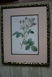 SIGNED UNIQUE DETAILED ARTIST HAND PAINTED FRAME MATTED REDOUTE PRINT Pancratium