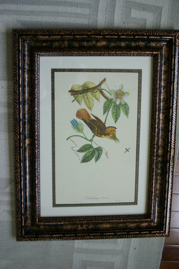 VERY RARE Professionally 2x Matted & in Hand-painted Frame 24