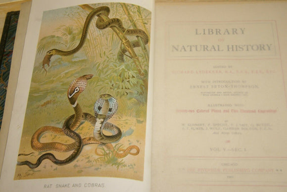RARE Antique Book from the Library of Natural History by Richard Lydekker from 1901: 