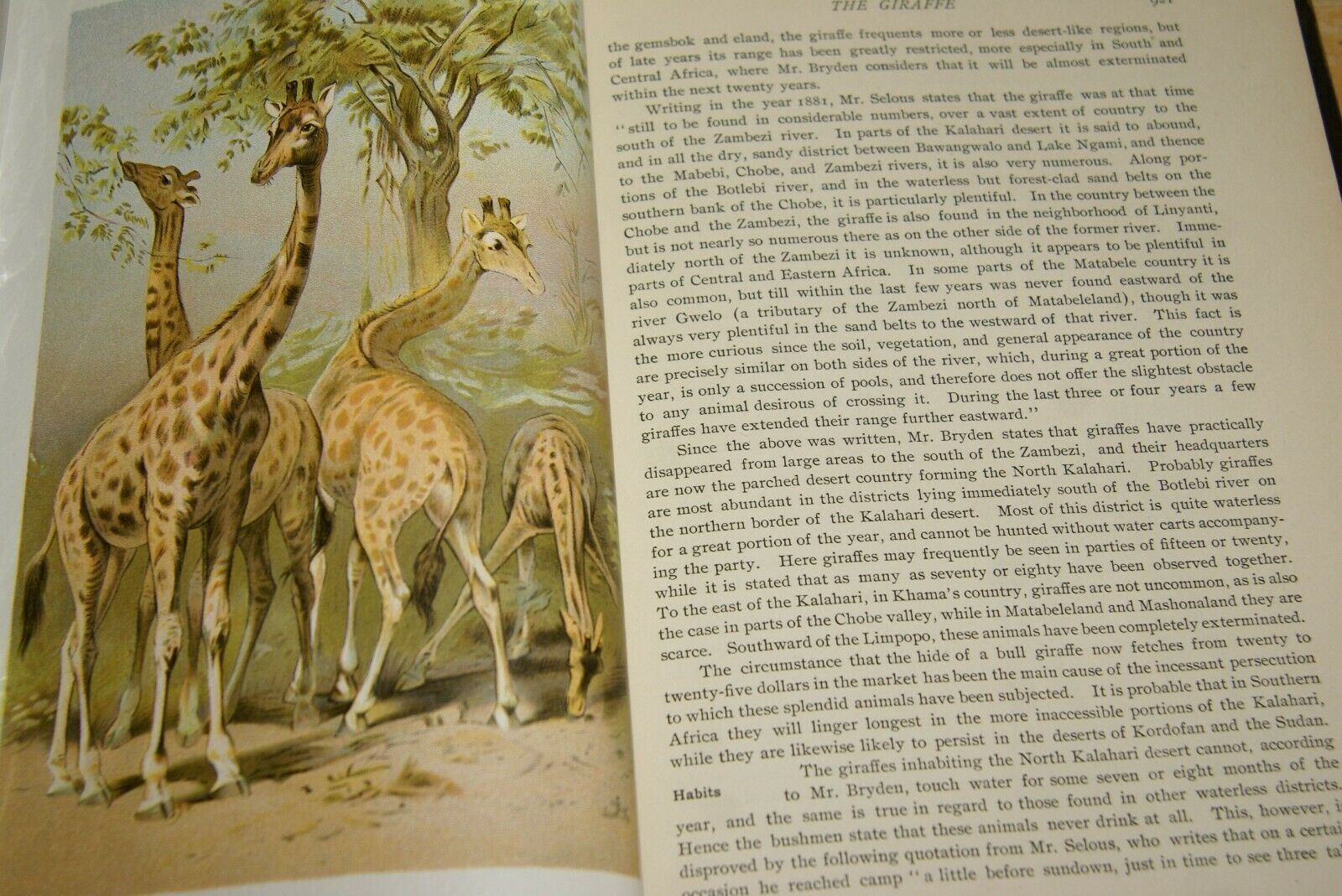 ANTIQUE BOOKS WITH ILLUSTRATIONS – Rarest Finds