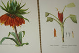 4 VARIED REDOUTE BOUQUET PLATES COLLECTIBLE COLORFUL FLOWERS WALL ART HOME DECOR 41, 308, 199 & 7