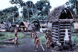 2 RARE MELANESIA MASSIM TROBRIAND ISLAND BETEL LIME POUNDER & PESTLE SETS, (ITEM BP7: EARLY 1900’S  GOOD PATINA) (ITEM BP8: 1970’S VARIGATED WOOD)