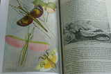 SOLD RARE Antique Book Library of Natural History by Richard Lydekker from 1901: "Invertebrate Animals" INSECTS BUTTERFLIES SCORPIONS STARFISH MOLLUSKSSOLD CRABS (Leather Bound with Gold Leaf Edges) RIVERSIDE PUBLISHING CO. 1901 CHICAGO