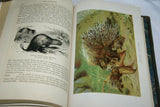 SOLD VERY RARE Antique Book from the Library of Natural History by Richard Lydekker from 1901: " Mammals" WHALES  SLOTHS PANGOLINS KOALAS KANGAROOS (Leather Bound with Gold Leaf Edges) RIVERSIDE PUBLISHING COMPANY, 1901 CHICAGO