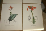 4 VARIED REDOUTE BOUQUET PLATES COLLECTIBLE COLORFUL FLOWERS WALL ART HOME DECOR 41, 308, 199 & 7