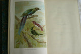 SOLD RARE Antique Book from the Library of Natural History by Richard Lydekker from 1901: "BIRDS" WEAVER STARLING FINCH LARK BUNTING WOODPECKER (Leather Bound with Gold Leaf Edges) THE RIVERSIDE PUBLISHING COMPANY, 1901 CHICAGO VOLUME IN GREAT CONDITION