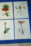 4 VARIED REDOUTE BOUQUET PLATES COLLECTIBLE COLORFUL FLOWERS WALL ART HOME DECOR 41, 308, 199 & 7