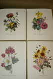 4 VARIED REDOUTE BOUQUET PLATES COLLECTIBLE COLORFUL FLOWERS WALL ART HOME DECOR 7, 10, 18, & 20
