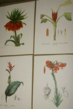 4 VARIED REDOUTE BOUQUET PLATES COLLECTIBLE COLORFUL FLOWERS WALL ART HOME DECOR 41, 308, 199 & 7