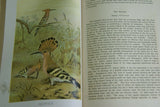 VERY Rare Antique Book from the Library of Natural History by Richard Lydekker from 1901- "Birds" Macaws hoopoes parrots frigate condors owls (Leather Bound with Gold Leaf Edges) ) THE RIVERSIDE PUBLISHING COMPANY, 1901 CHICAGO