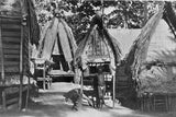RARE ANTIQUE MELANESIA MASSIM TROBRIAND ISLAND BETEL LIME POUNDER WITH PESTLE SET, GOOD PATINA (EARLY 1900’S) BP1