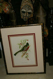 UNIQUE 29,5"X 23,5” 1955 GOULD TROGON AMBIGUUS BIRD FOLIO LITHOGRAPH FRAMED IN SIGNED ARTIST HAND PAINTED FRAME WITH 4 MATS TO ENHANCE THE ART WITHIN GORGEOUS DFPN94. DESIGNER WALL ART DÉCOR