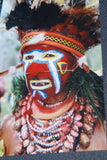 RARE UNIQUE AUTHENTIC COLORFUL FOLK ART PAINTING PANGA TRIBE WARRIOR FROM PAPUA NEW GUINEA ARTIST FRAMED IN SIGNED HAND PAINTED FRAME TO MATCH THE ART WITHIN 33” X 24 ½” DFP4 DESIGNER COLLECTOR WALL ART