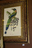 VERY RARE 1960 Rare Descourtilz Limited Edition Original Folio Lithograph Brazilian Bird Plate 59 Swainson's Royal Flycatcher or Platyrhynque Couronne