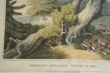 VERY RARE COLLECTOR ILLUSTRATION (1813) HAND COLORED QUARTO AQUATINT ENGRAVING FROM HOWITT & CAPTAIN WILLIAMSON’S AMERICAN ANECDOTE, WOLVES & BOY, FROM FOREIGN FIELD SPORTS, FISHERIES ETC… BY CAPTAIN WILLIAMSON.