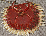 Unique Rare Body Art : Big Man Tribal Pectoral Cannibal Trophy Necklace, Bride Price, Currency & Feud Payment Collectible: 4 Boar Tusks, 33 Dingo Teeth & Fangs, Seed beads, Bark Twine, Red Coloring etc…Collected in late 1900’s, Papua New Guinea Highlands.