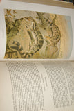 SOLD VERY RARE Antique Book from the Library of Natural History by Richard Lydekker from 1901: "Mammals, Wild Cats, Lions & Tigers"  also cats dogs vampire bats foxes(Leather Bound with Gold Leaf Edges) RIVERSIDE PUBLISHING COMPANY, 1901 CHICAGO