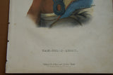 1855 Original Hand colored lithograph of TAH-COL-O-QUOIT, from the octavo edition of McKenney & Hall’s History of the Indian Tribes of North America TAHCOLOQUOIT