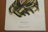 1865 Original Hand colored lithograph STUM-A-NU, A FLAT HEAD BOY, from the Royal octavo edition of McKenney & Hall’s History of the Indian Tribes of North America  (STUMANU)